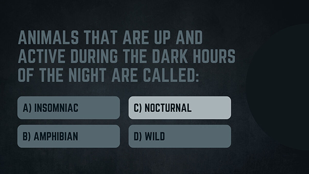 Darkness Trivia image number null